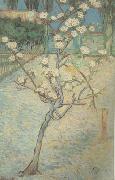 Vincent Van Gogh Blossoming Pear Tree (nn04) oil painting picture wholesale